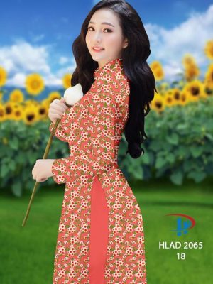 1649826484 vai ao dai dep (11)